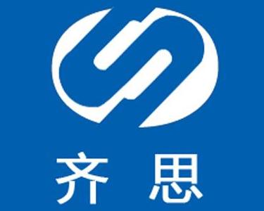 上海齐斯网络科技 打造高效技术服务生态，赋能企业数字化转型